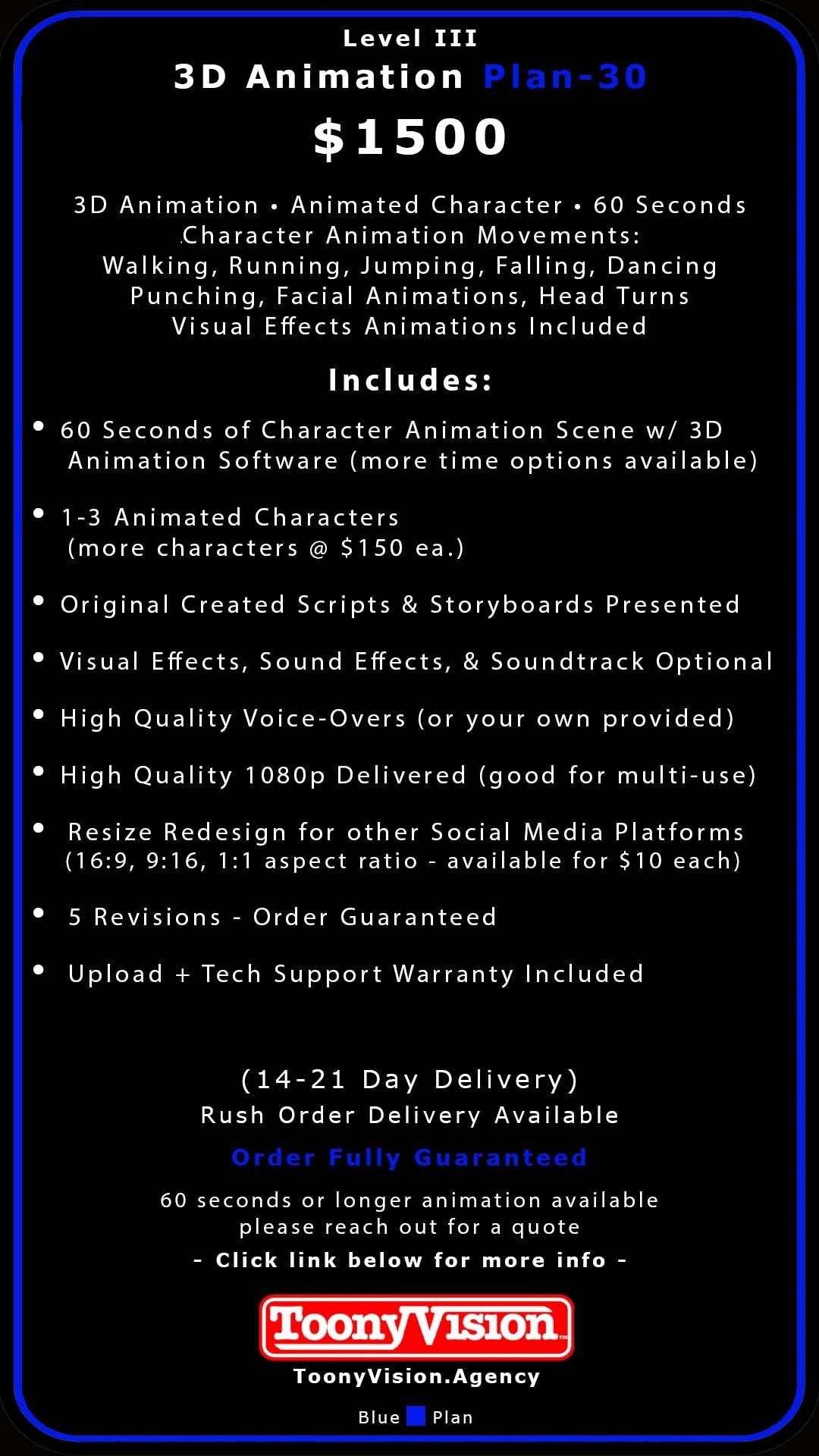 ToonyVision Animation Advertisement 3D Packages Level III-Plans 28-30 - ToonyVision