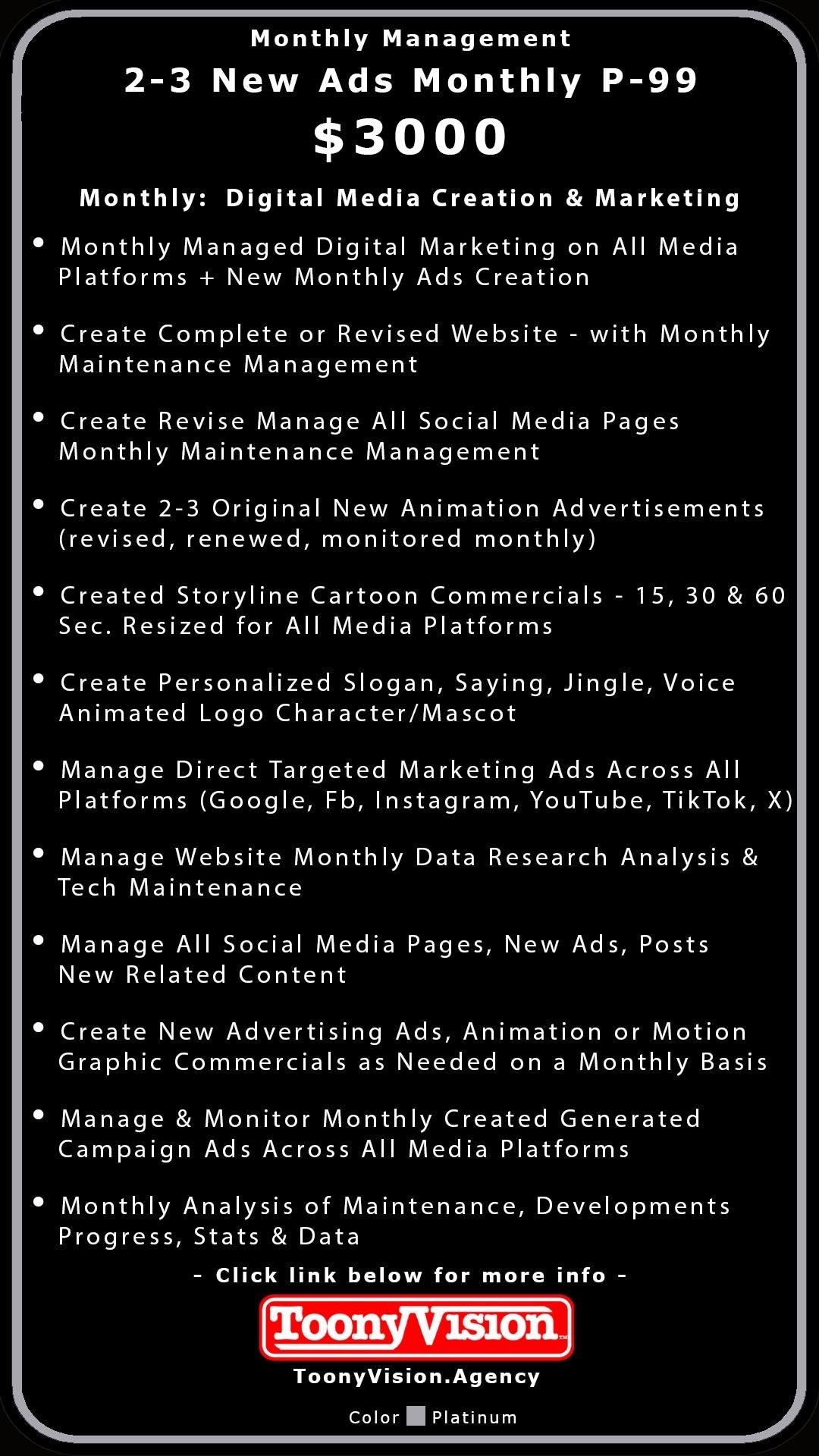 ToonyVision Animation Advertisement Monthly Management Package Plans - ToonyVision